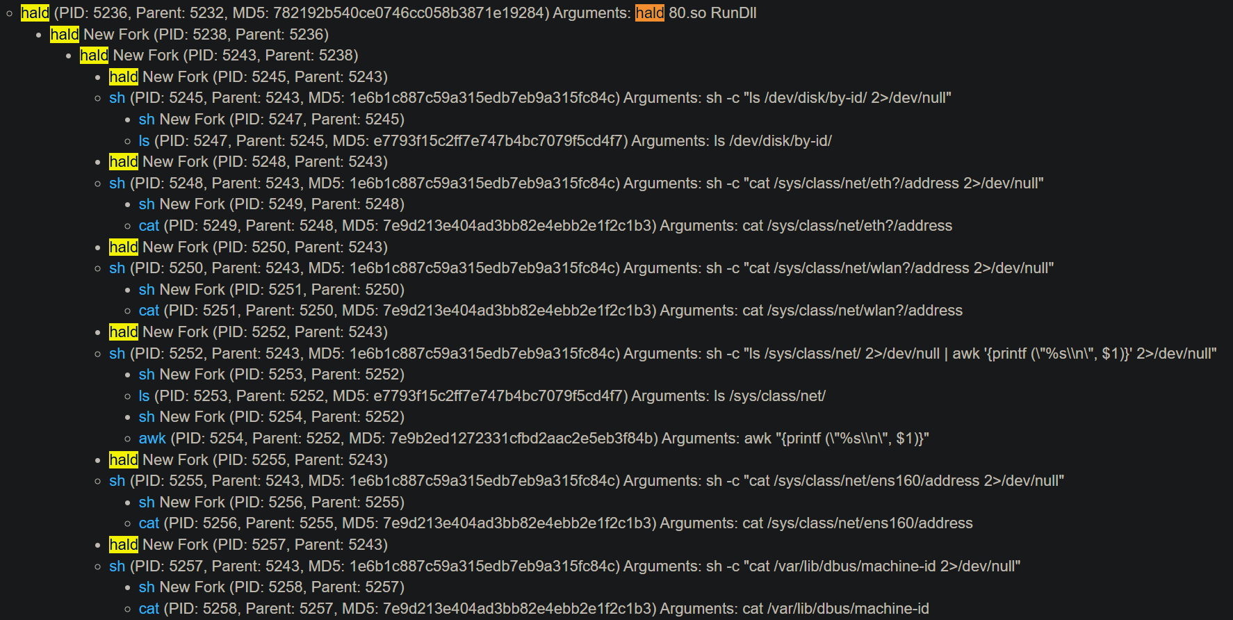 hald process tree showing reconnaissance commands including network interface probing and system enumeration