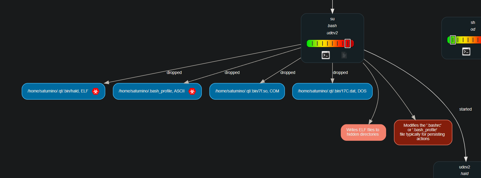 udev2 process tree showing dropped files including hald ELF, .bash_profile, .so and .dat files